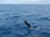 DSCN4856
