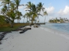 image221